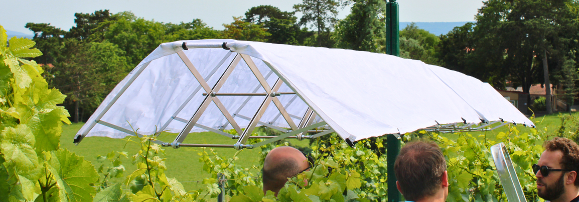 Bienesis-startup-agrotech-vignoble-frise2 Bienesis startup agrotech vignoble frise2