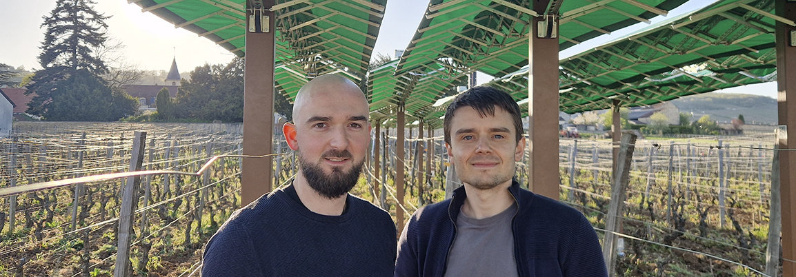 Bienesis-startup-agrotech-vignoble-frise5 Bienesis startup agrotech vignoble frise5